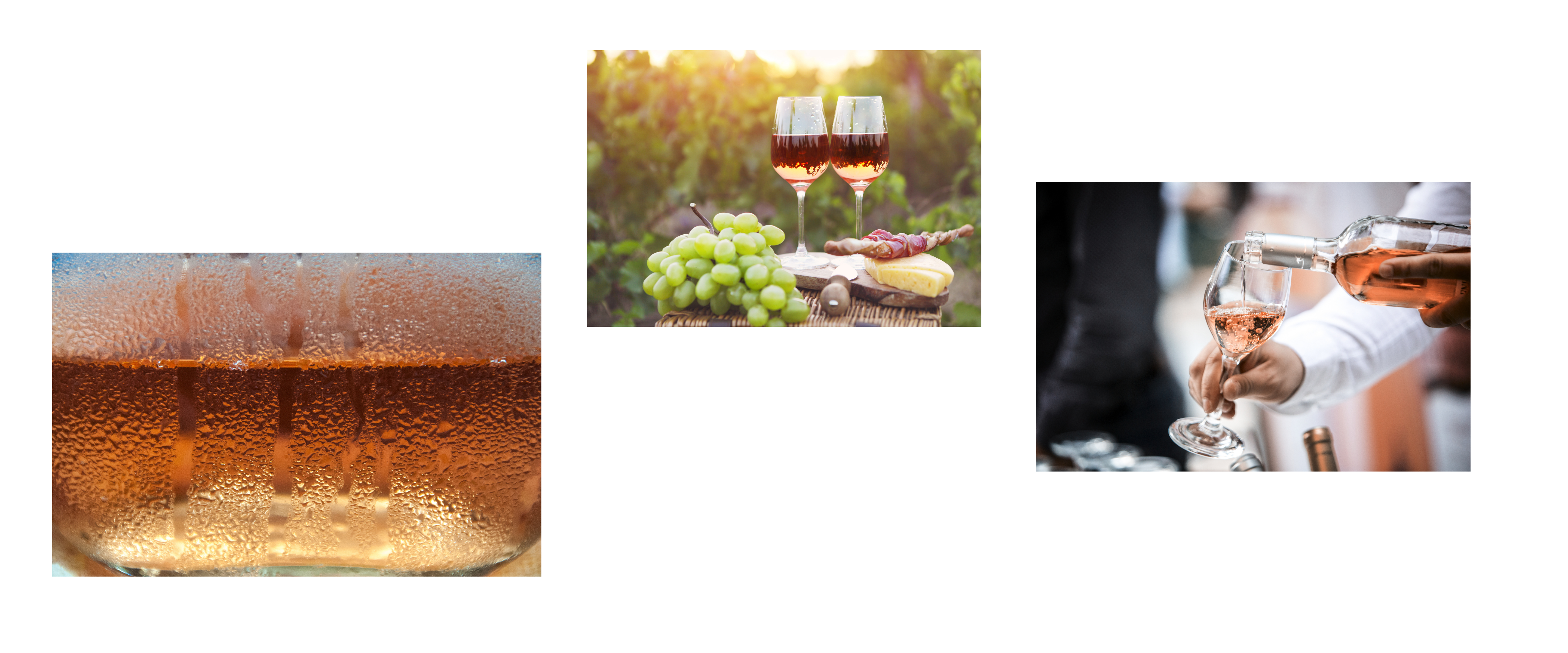 Tout savoir sur les vins rosés