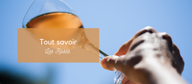 TOUT SAVOIR SUR LES ROSÉS
